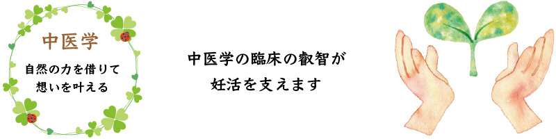 妊活,不妊治療,漢方薬局,相模原,中医学