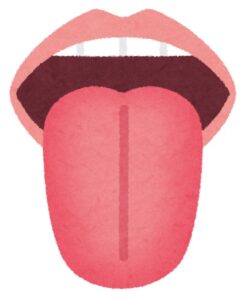 舌診正常＜相模原 漢方 鍼灸 接骨 タナココ＞