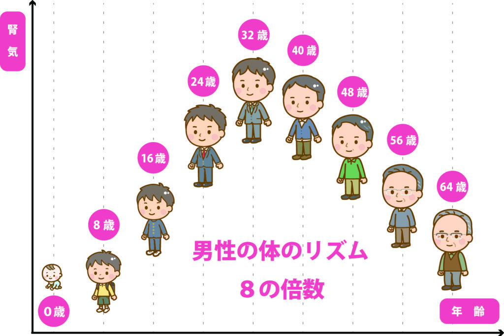 男性は８の倍数で変化する