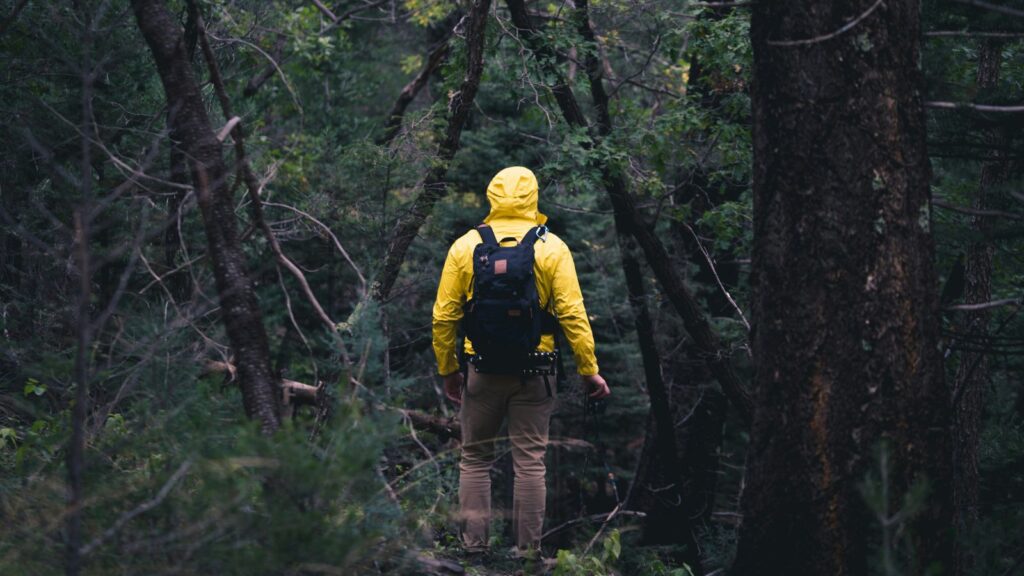 今ここ、意識、マインドワンダリング＜漢方,鍼灸,接骨,妊活,不妊,男性不妊,不育,メンタル不調,うつ,不眠,不安,腎不全,腎機能低下,アトピー,肌トラブル＞